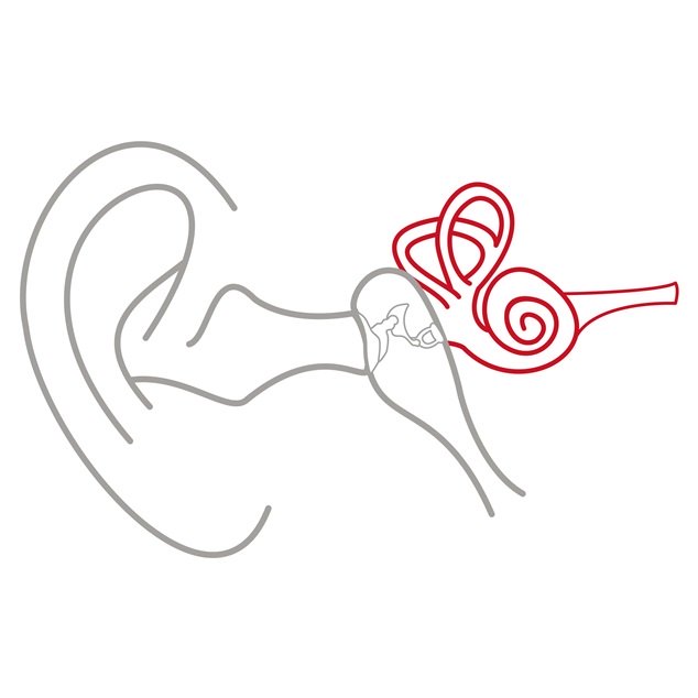 Illustration of the outer ear, middle ear, and inner ear with the innter ear highlighted in red