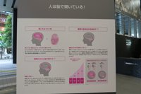 人は脳で聞いている